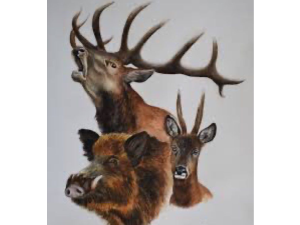 Bague de Daguet et biche