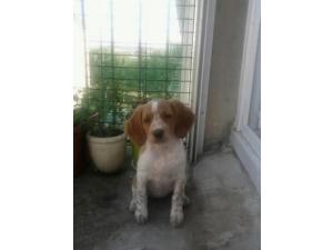 Recherche