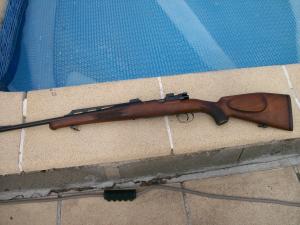 carabine 300 wing mag