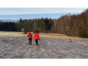 Chasse en battue en République tchèque. Dernières places disponibles à un prix spécial.