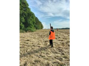 Action de chasse