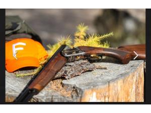 Franchi feeling ergal select