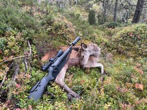 Blaser R8 Professional 308. Cal - Pack complet. Peu utilisé - En bon état