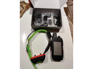 Garmin Alpha 300i avec le collier TT25