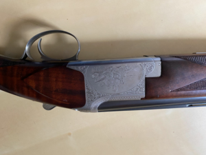 Browning B 25 chasse