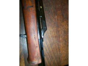 carabine 300 wing mag