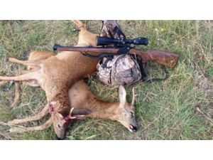 Cherche et Achète Express en 375H&H, Drilling en 20 et BLASER S2 ou D99