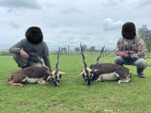 Chasse en Argentine