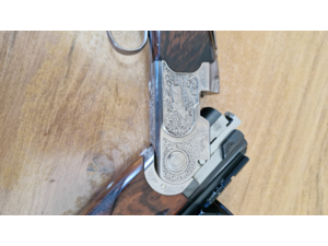 Express beretta silver sable 8x57