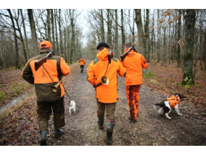 Action de chasse grand gibier - Mayenne (Laval)