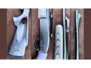 CARABINE A POMPE REMINGTON 7600 CALIBRE 35 WHELEN – CROSSE TROU DE POUCE GAUCHER – 2 CHARGEURS – LUNETTE – POINT ROUGE – CROSSE BOIS