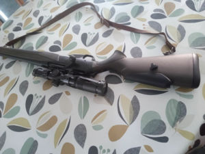 carabine BROWNING maral 30/06