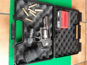 Dan Wesson ASG Co2 4.5 bbs