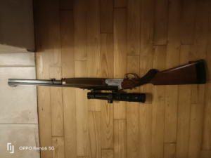Express 30 R blaser