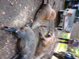 Recherche actionnaires