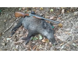 Cherche un Blaser S2 en 375H&H