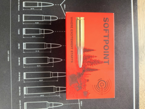 Geco Softpoint .308 11,0g / 170 gr