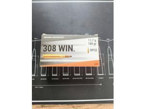 Solognac SPCE .308 11,7g / 180gr