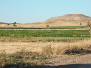 Exclusif et inédit !! / Séjours de dressage de vos chiens d'arrêt hors saison !