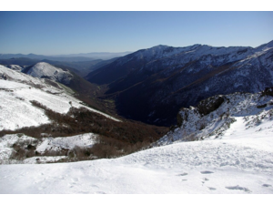 “Macho Montes ou Ibex de GREDOS”
