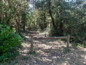 Recherche Actionnaires