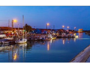 Recherche Actionnaires