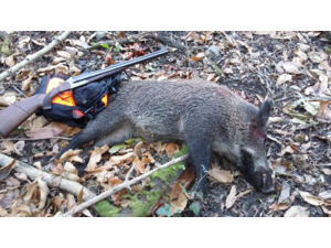 Cherche un DRILLING BLASER D99 en 8X57JRS