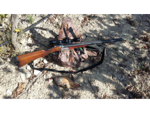 Cherche un Drilling UNIQUEMENT dans un tous petit calibre