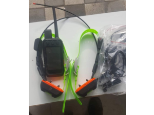 Garmin Alpha 300 iK  plus deux collier TT25