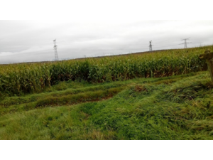 Plaine de chasse en Pays d'Opale