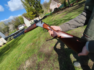 Vend fusil mixte betinsoli 7x65r -cal 12 avec point rouge docteur