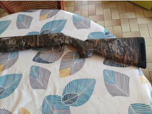 BROWNING PHOENIX 12/89