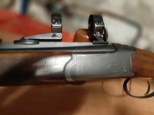 double express  chapuis