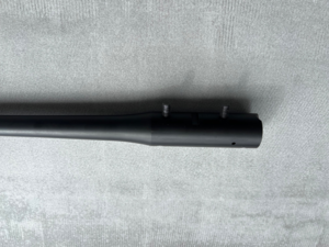 Canon blaser r8 8x68s