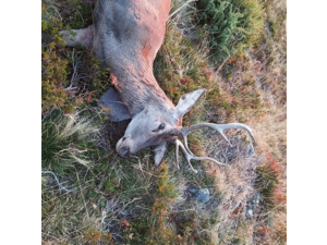 Tombola Acca de BOutx