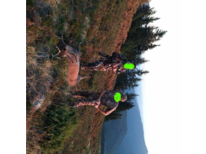 Tombola Acca de BOutx