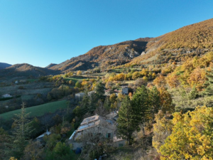 Foret avec droit de chasse