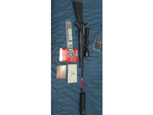 Carabine Winchester 308