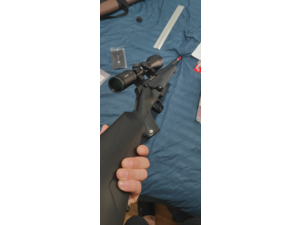 Carabine Winchester 308