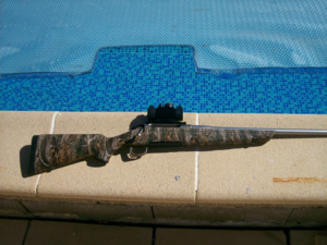 carabine remington 770
