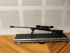 Remington 700 SPS - 300 win mag + SWAROVSKI Z6I 5-30 x 50 P HD