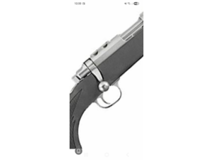 Recherche Carabine Ruger 22