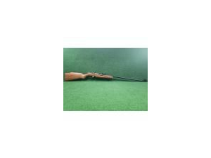 Carabine manu arm 22lr