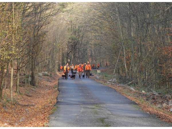 Novembre 2026. Chasse en battue en République tchèque.