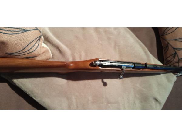 carabine 22 long rifle