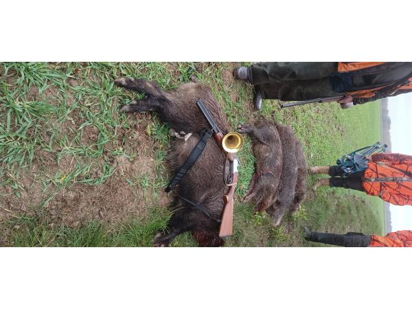 Belle action de chasse GG du LUNDI