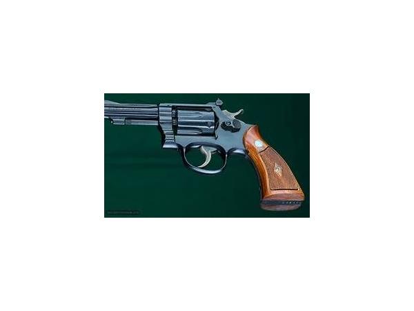 pistolet ou revolver 22 lr