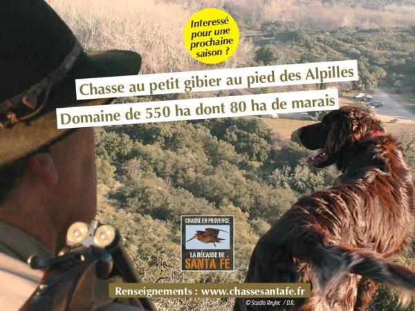 Chasse en Provence