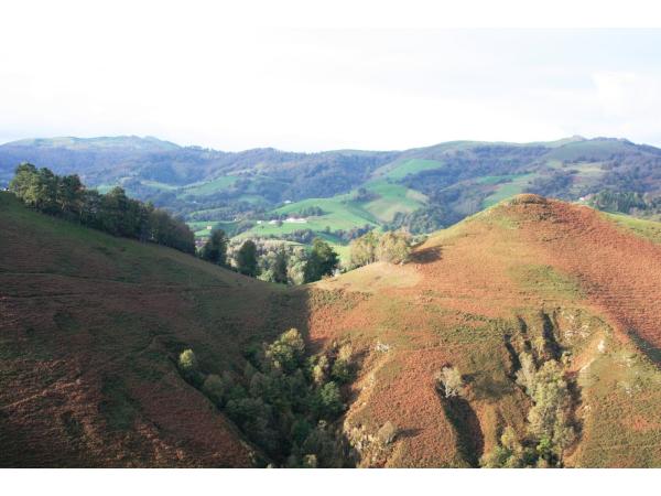 Location postes de tir au vol à la palombe