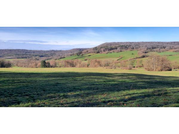 Journée de chasse sud Hte-Marne